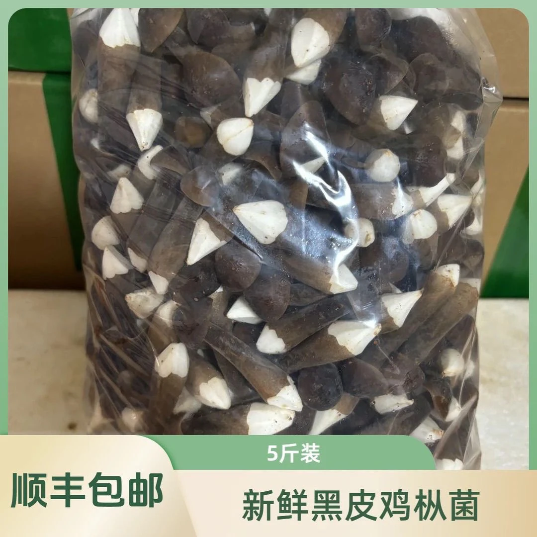 新鲜黑皮鸡枞菌3级2500g农家火锅/煲汤/炒/蒸鸡/黄焖鸡米线餐饮装