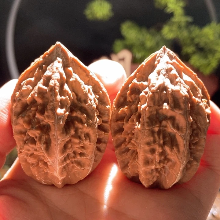 鑫***源吊坠文玩核桃定向2