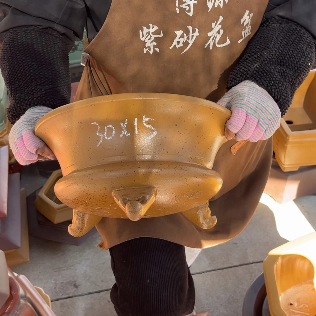 紫砂花盆盆景艺术