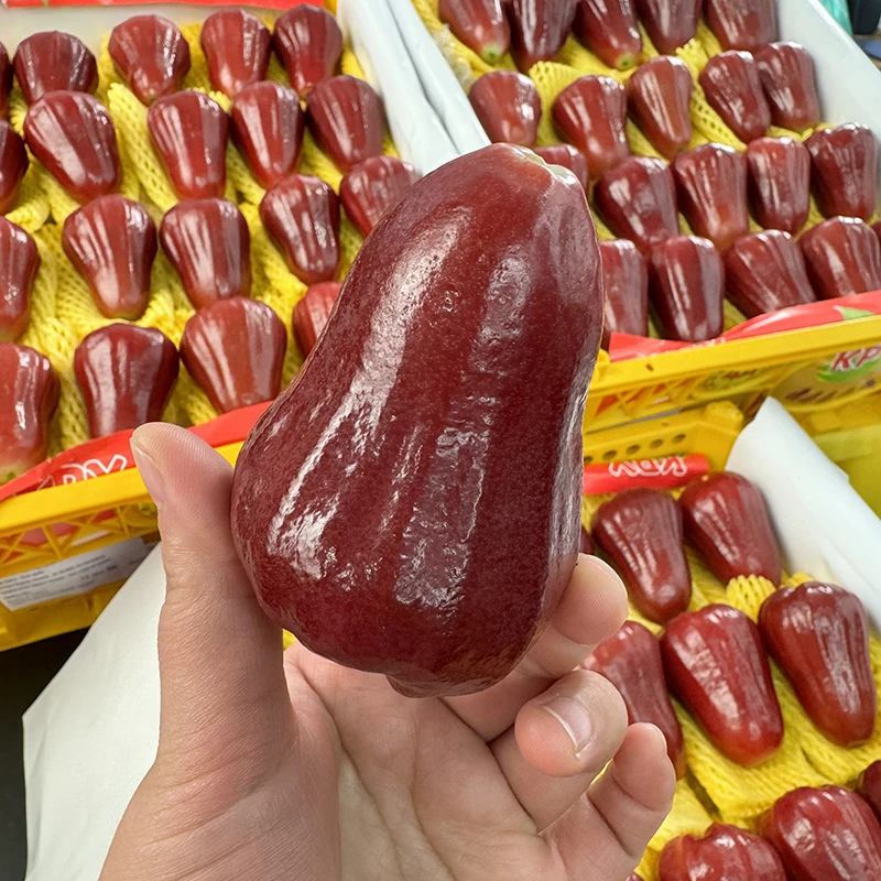 【乐鲜果园】当季泰国黑金刚莲雾清甜新鲜孕妇水果