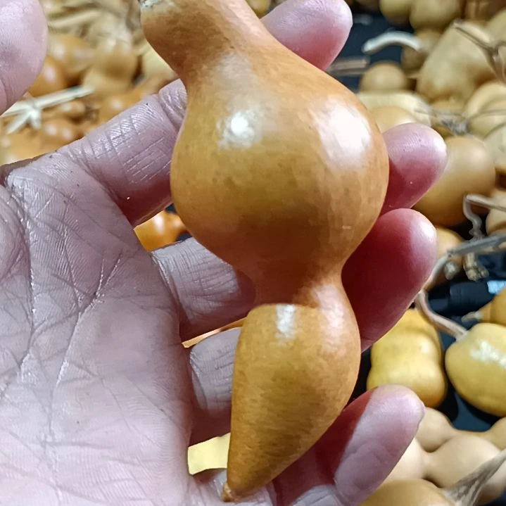 花****子葫芦葫芦葫芦葫芦葫芦葫芦