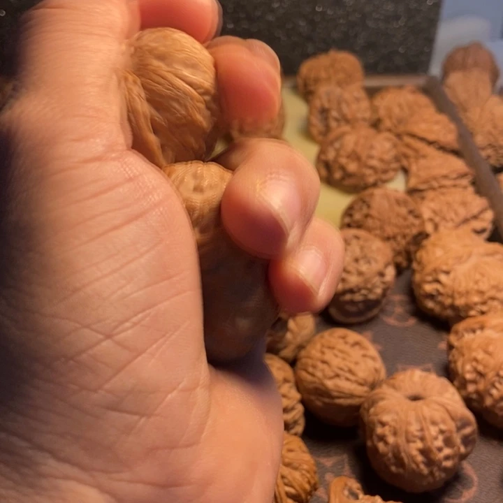 十***￶元宝1234565个行政单位萤石（处理）