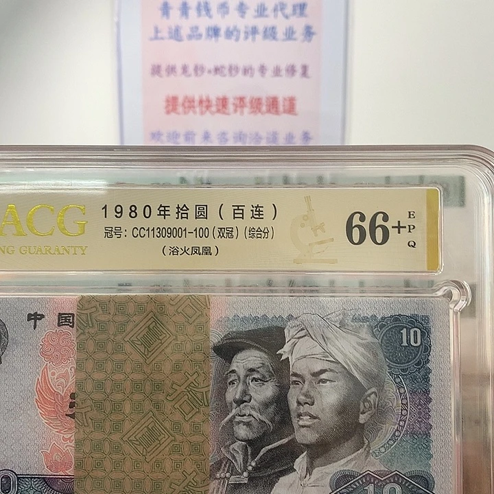 塑料第四版8010，浴火凤凰