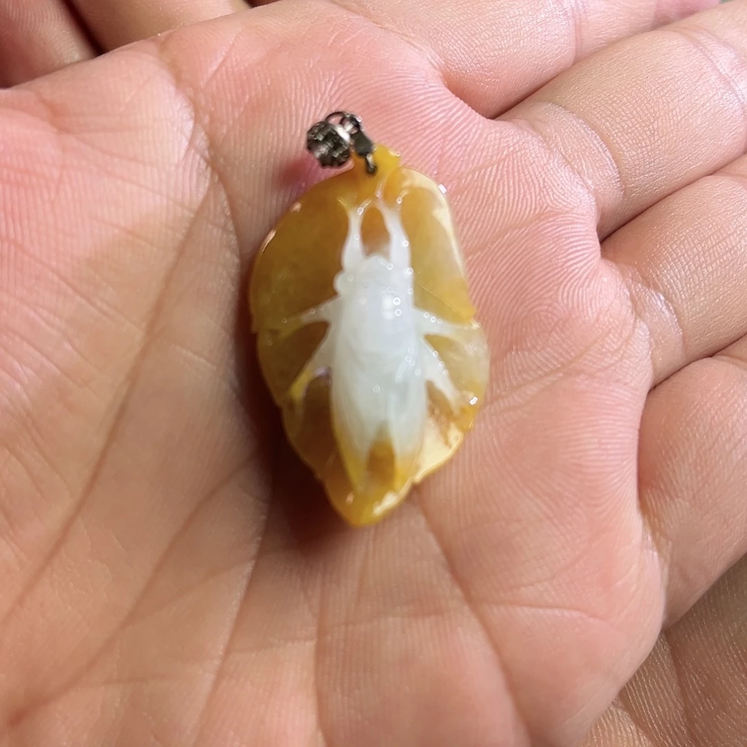【闪购商品】翡翠颈饰未镶嵌天然