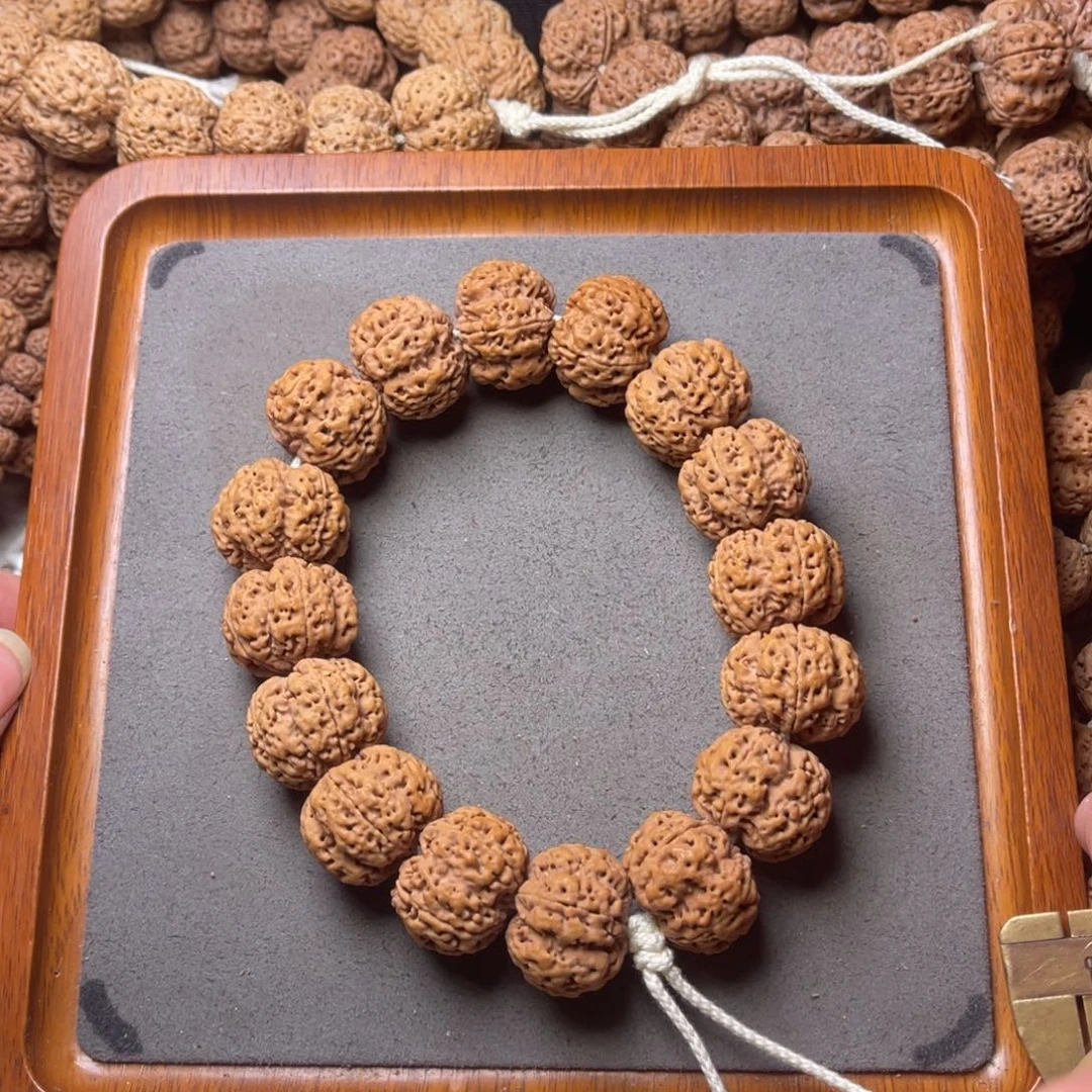 菩提籽类6号金刚菩提满肉梅花24