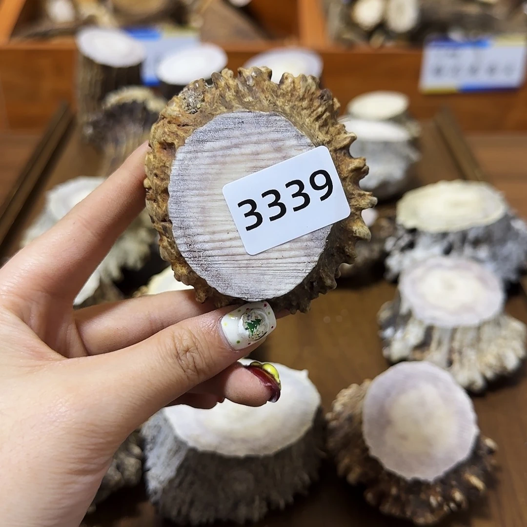 鹿骨手串/手链角帽3339