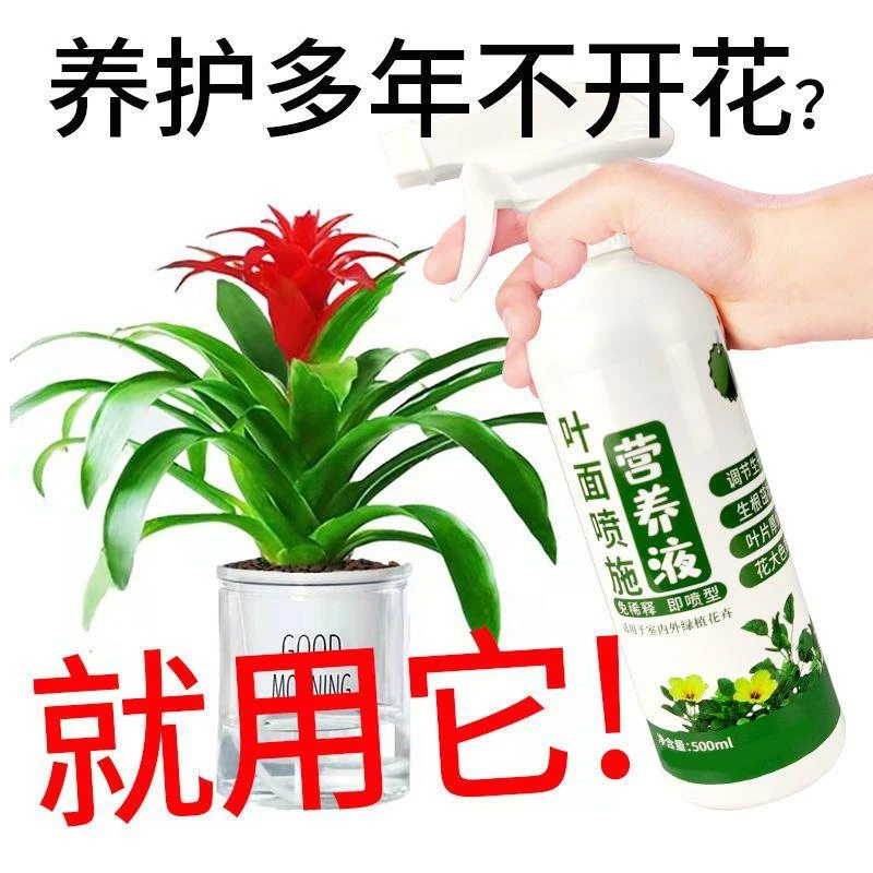 鸿运当头专用肥花肥营养液开花叶肥花卉植物营养液肥料磷钾直接喷
