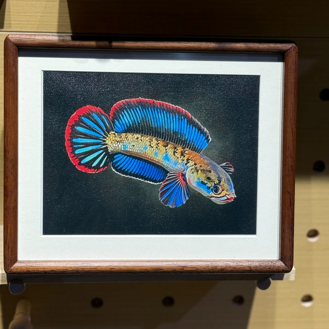 雷龙鱼实木框文创画（10寸）