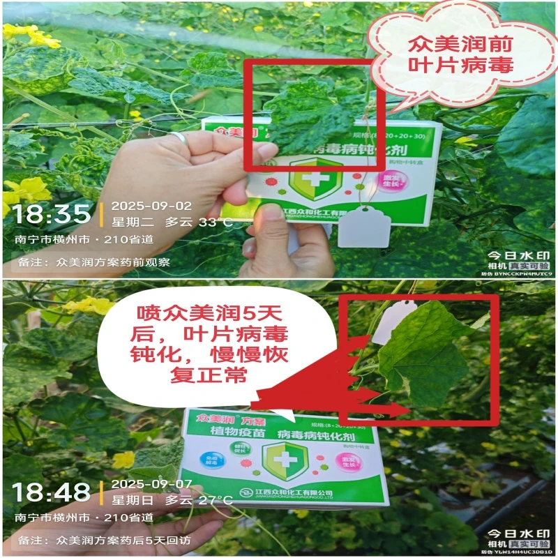 众美润病毒病防治剂