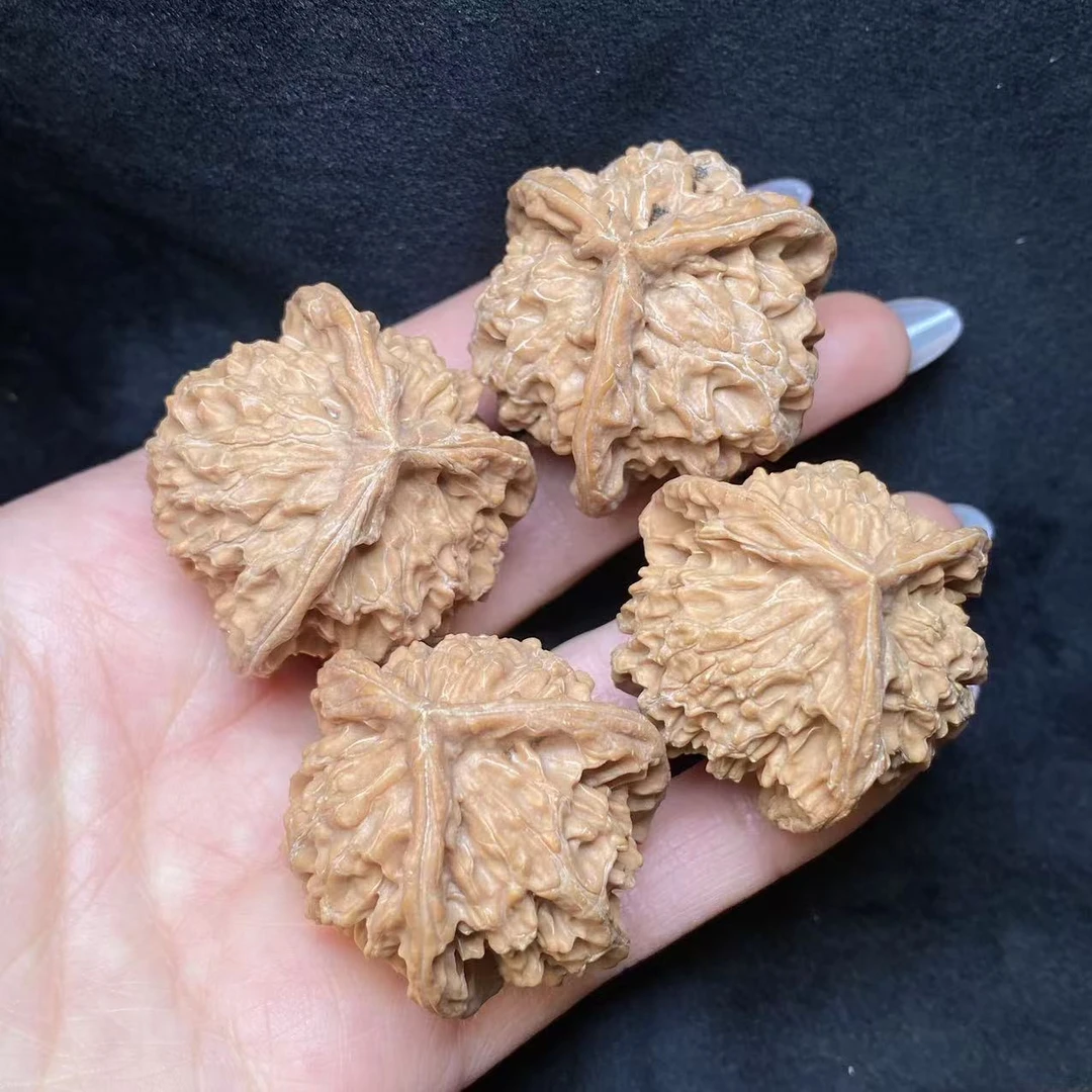 【曹掌柜精选】23 G07397-核桃三棱-多样性发其一-37-38mm左右