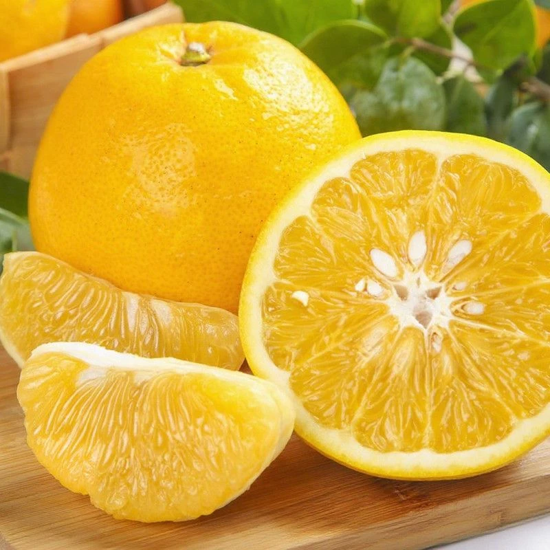 福建爆汁清甜正宗黄金葡萄柚孕妇水果新鲜水果当季产地现摘直发