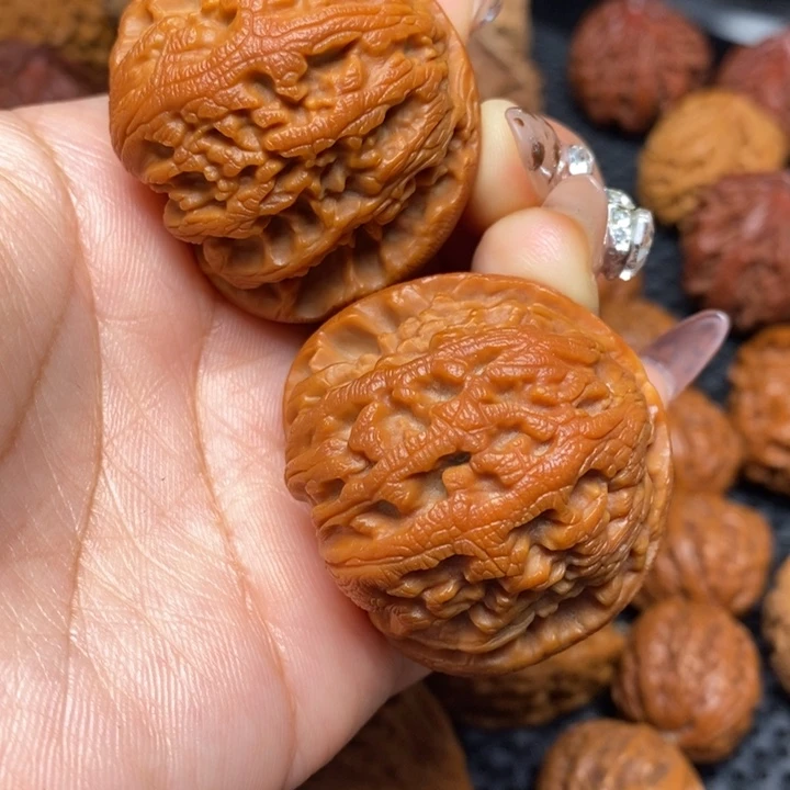 秦岭野生000000000018