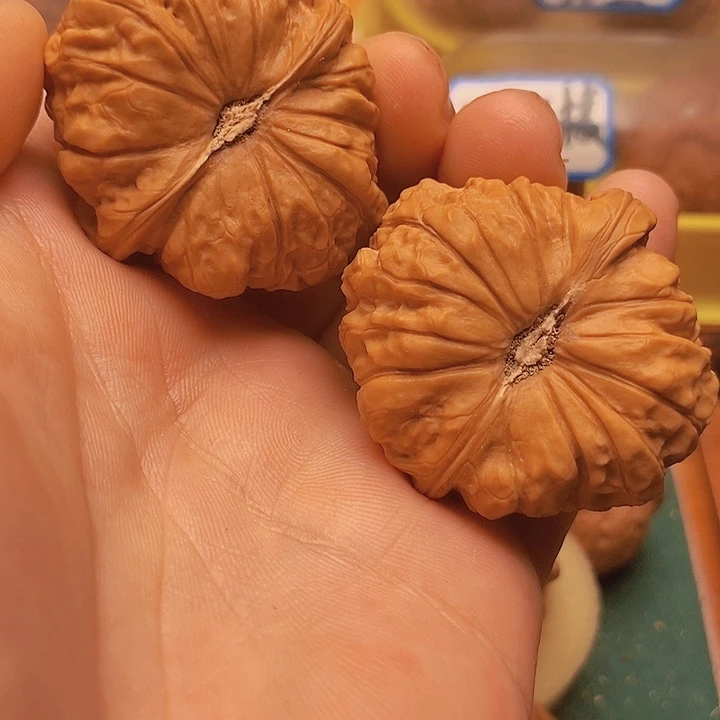 文玩核桃把件边41肚44南瓜墩毕业