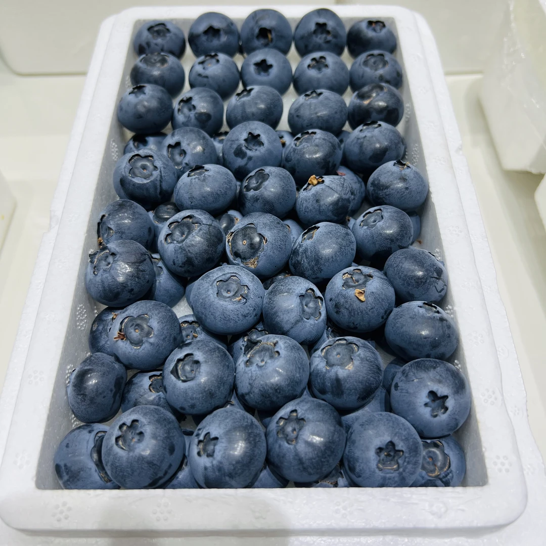 【磊哥心选】【酸甜】丹东优瑞卡蓝莓16mm+ 20mm+一盒450g左右辽宁省