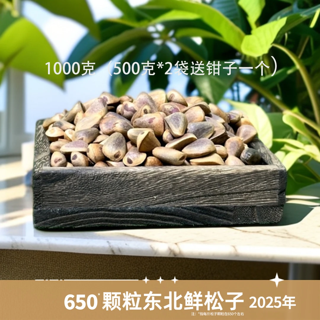 2025年新货东北大颗粒生松子  新货松香味十足  鲜！