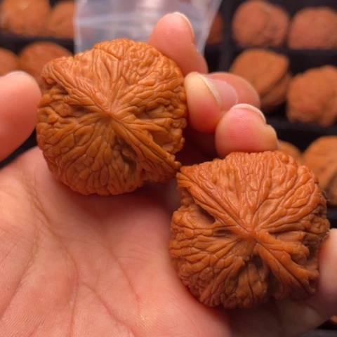 文玩核桃把件秦岭山脉核桃