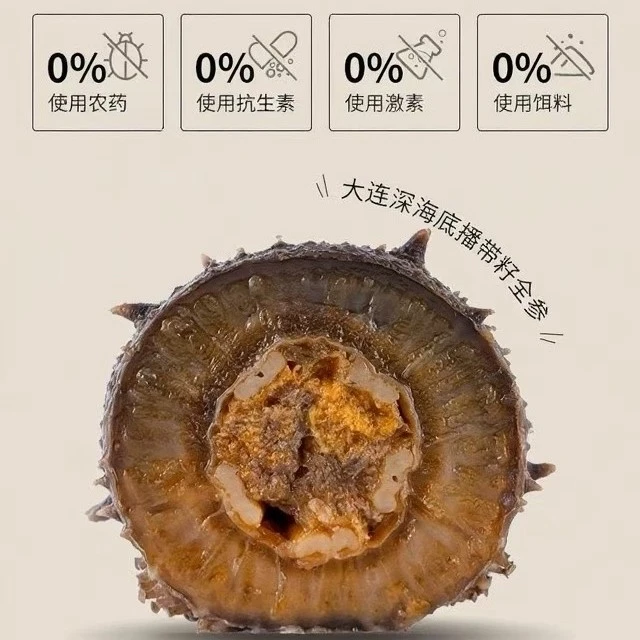 非水发0添加即食蒸制鲜籽海参源头厂家发货顺丰包邮到家即食海参