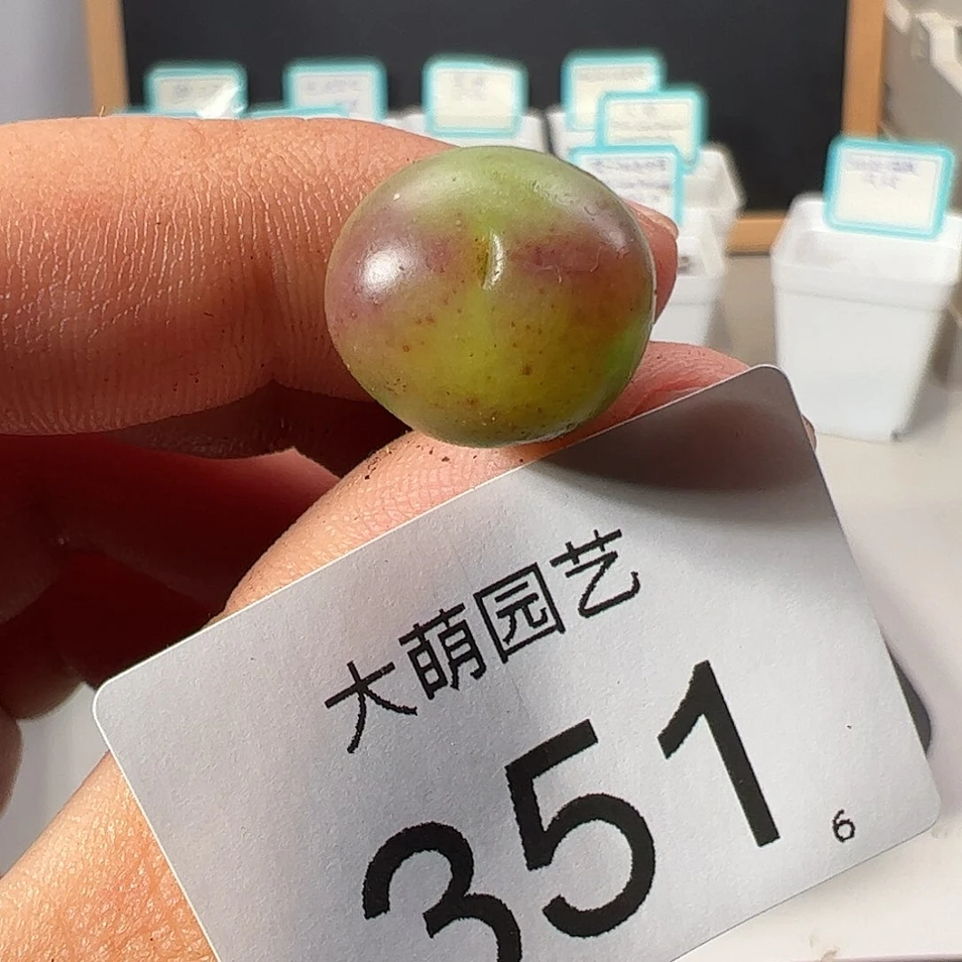 0000351 一物一拍……