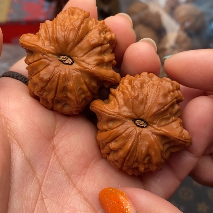 核桃血麒麟40尺核桃