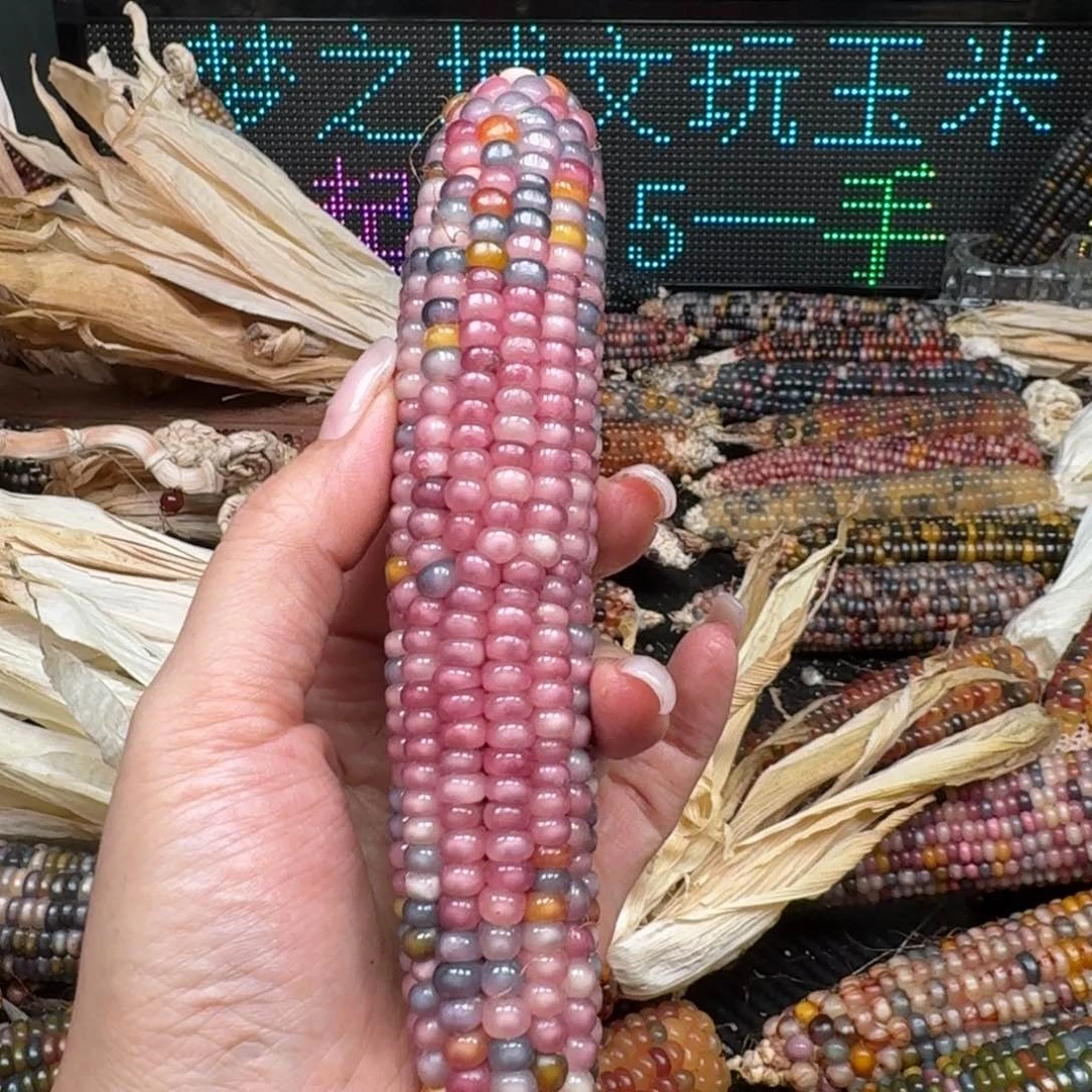 柏香籽/百香籽吊坠夜****时