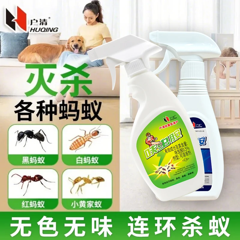 杀灭蚂蚁药蟑螂药室内家用全窝非无毒端户外防小黄黑捕蝇神器