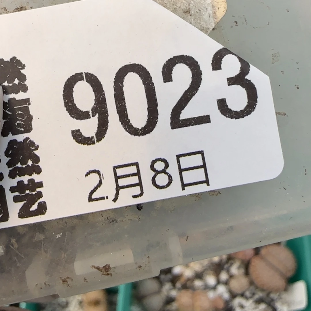 c****m2.8，饼干，9023。