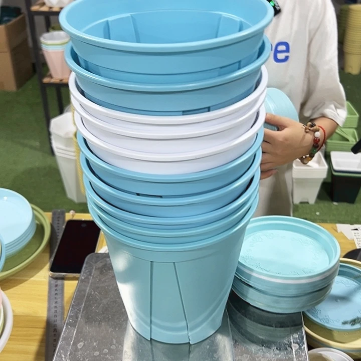 特价青山口21高21混色带托10只