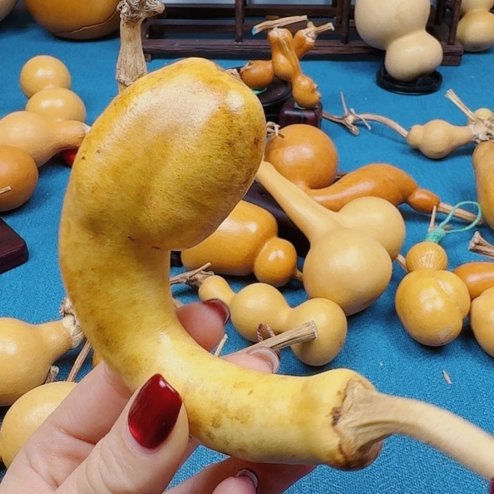 用****6事其实是去兔兔