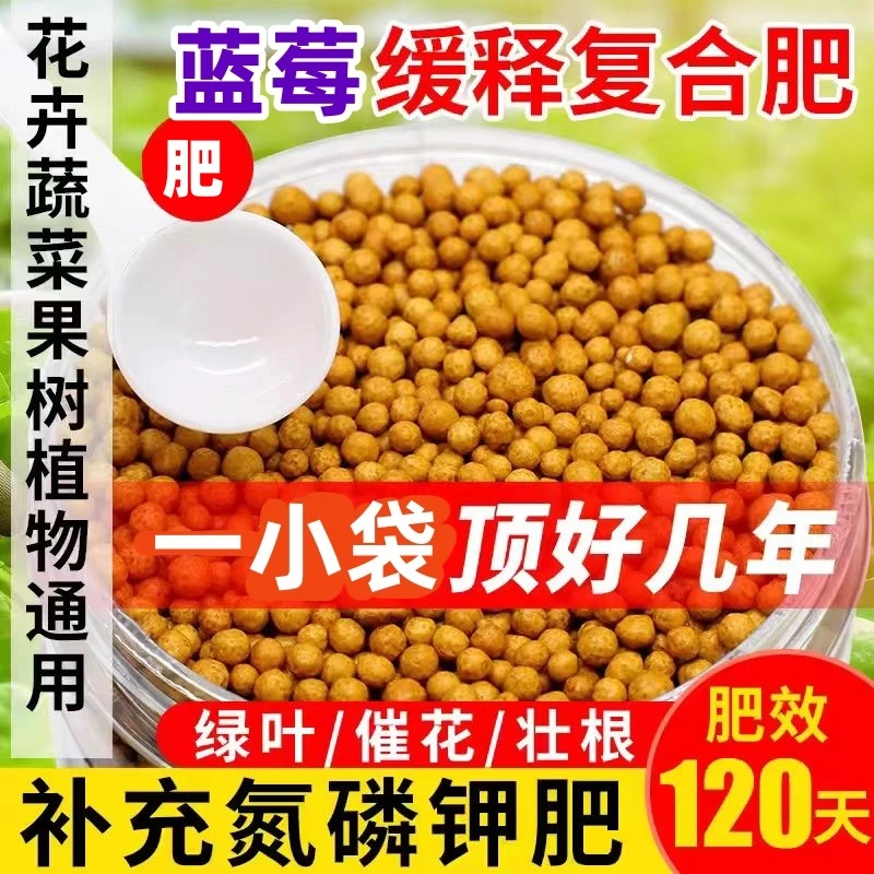 蓝莓果树专用缓释颗粒肥料植物营养长效控释肥盆栽花卉通用型