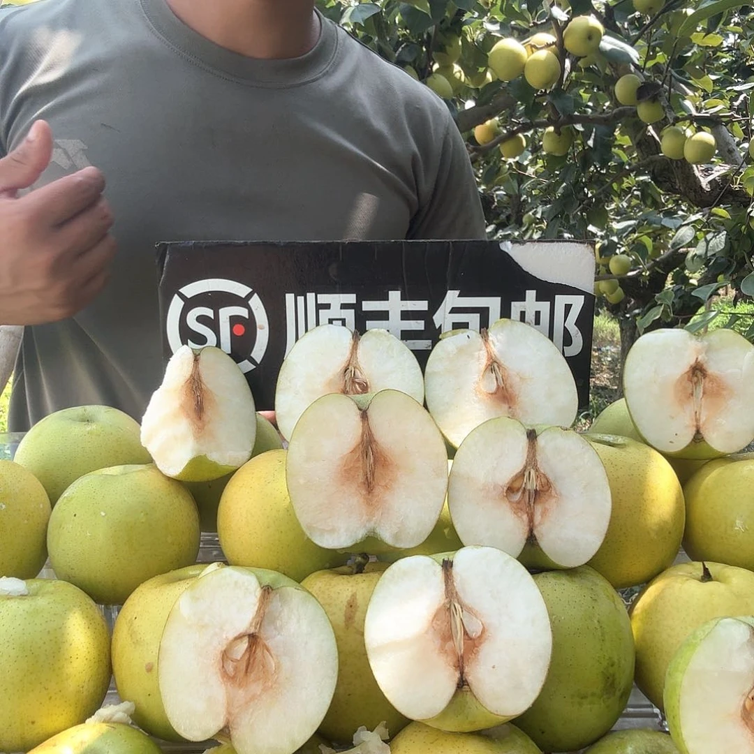 蜜梨净重5斤左6到9个