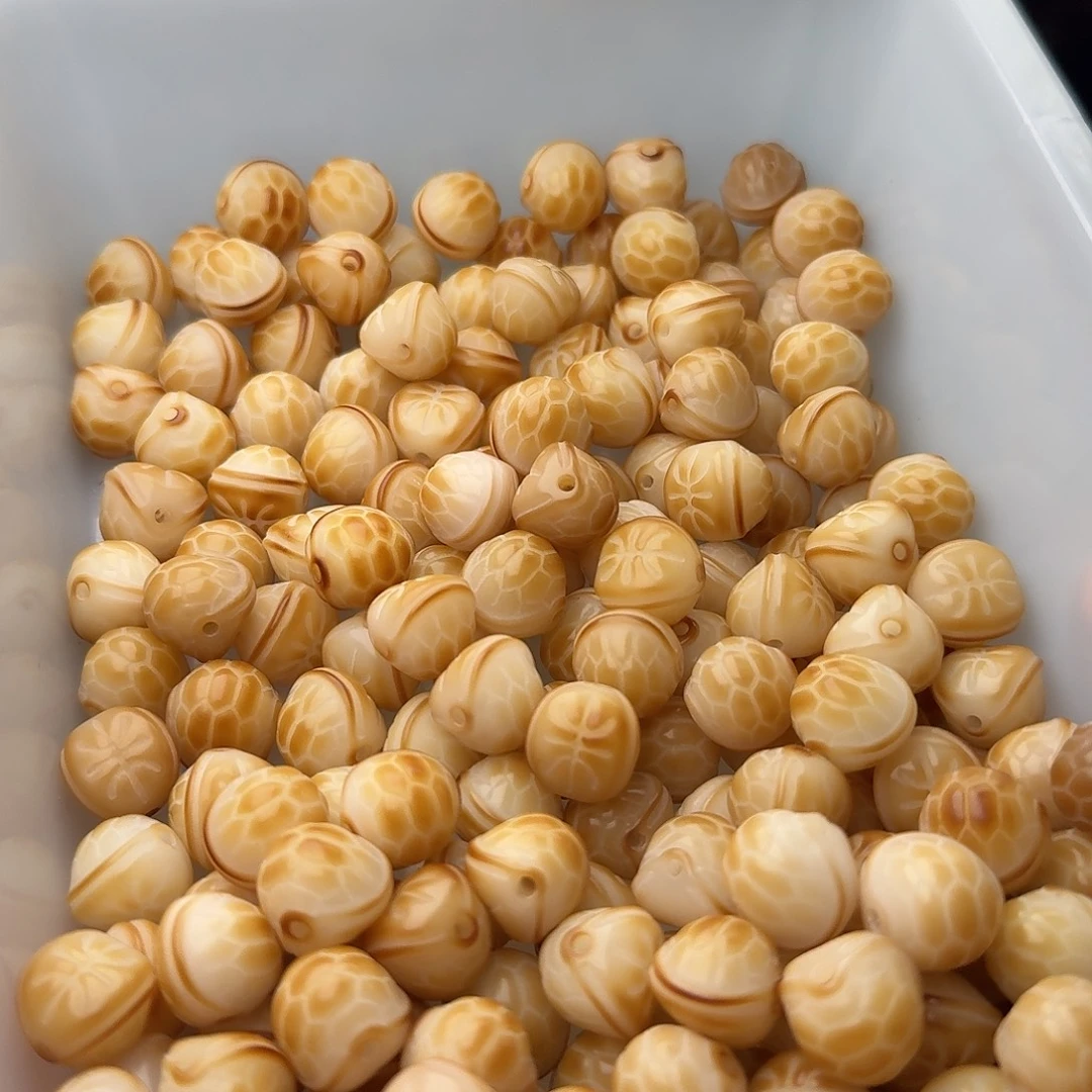 吊坠菩提根/象牙果20颗富甲天下13