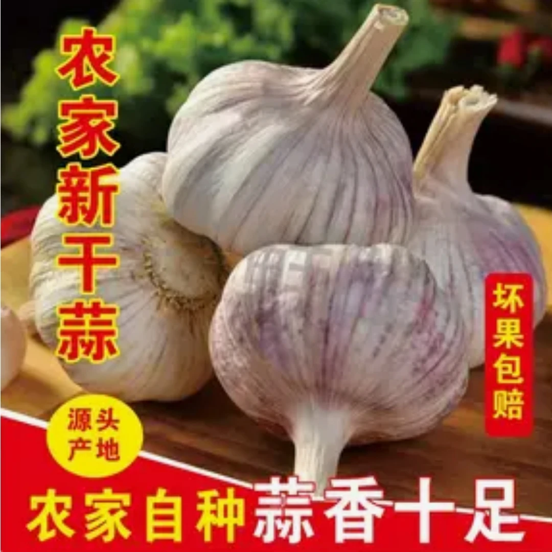 (助农特惠)2025八成农家新晒大蒜头干蒜天然晾晒优质批发