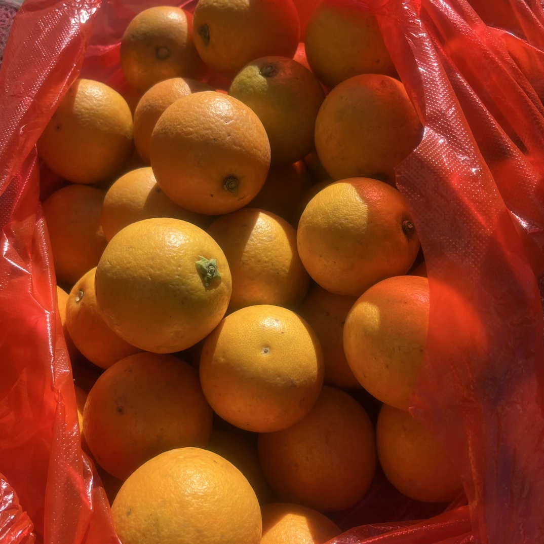 冰糖橙当季新鲜水果香甜多汁手剥橙子甜橙送开橙器