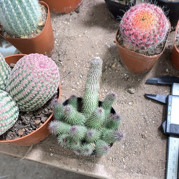 ?*333333333333333333333