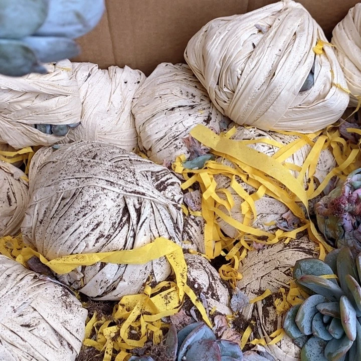 你***y老宝宝奶茶5颗盲拍