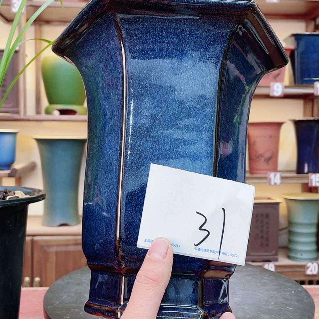 【闪购商品】紫砂花盆十*兰花425555556885588888