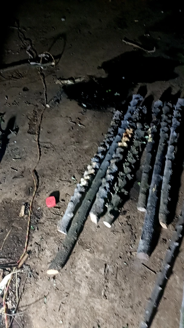 对节木黑果木红果木金丝红木原木