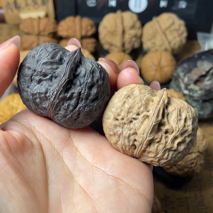 ⑦***⑧一物一拍如图所示63