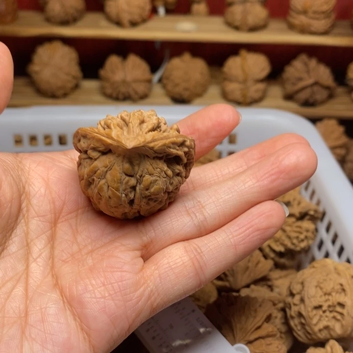 蚂***蚁把件文玩核桃文玩