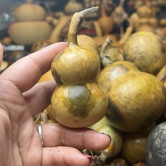 ꧁**꧂葫芦葫芦葫芦葫芦