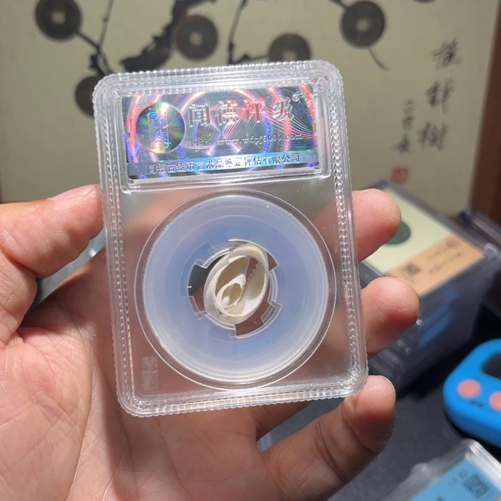 星***系铜贝币古珍777777777777