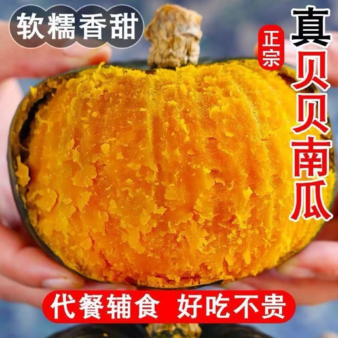 甘肃高原新鲜贝贝南瓜包邮农家种植板栗味粉糯香甜婴儿宝宝辅食