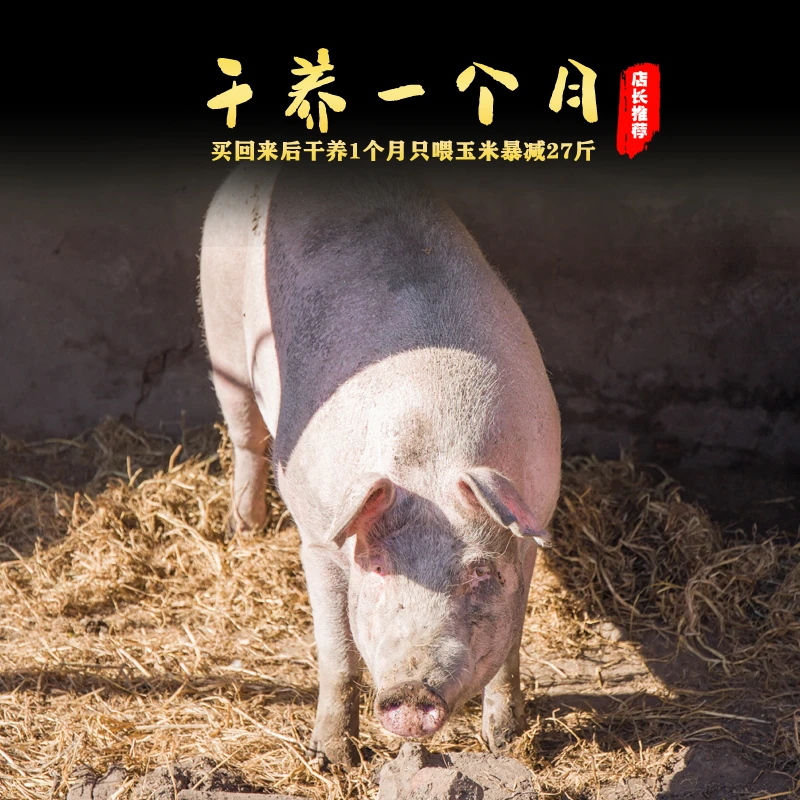 2号【重量以直播现场称重为准】黑猪丨白猪 鲜肉 笨猪肉 顺丰包邮