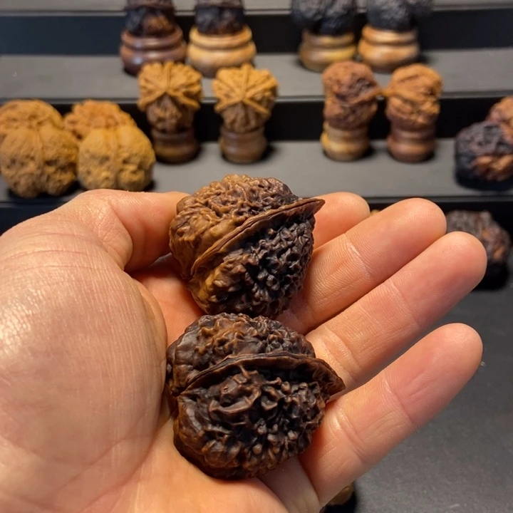 文玩核桃把件甲*虫B鳄鱼头40