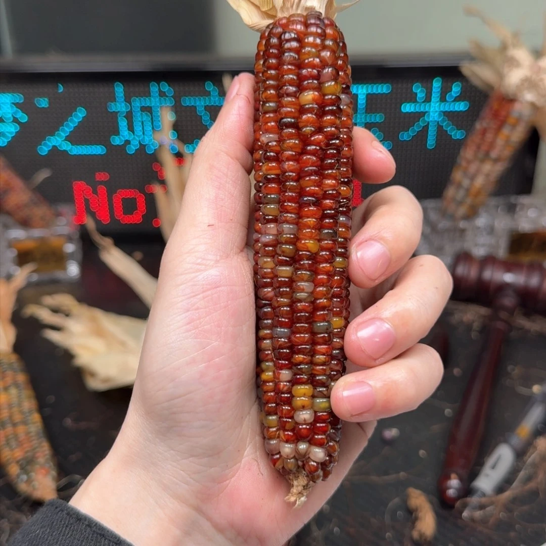 柏香籽/百香籽吊坠M**y