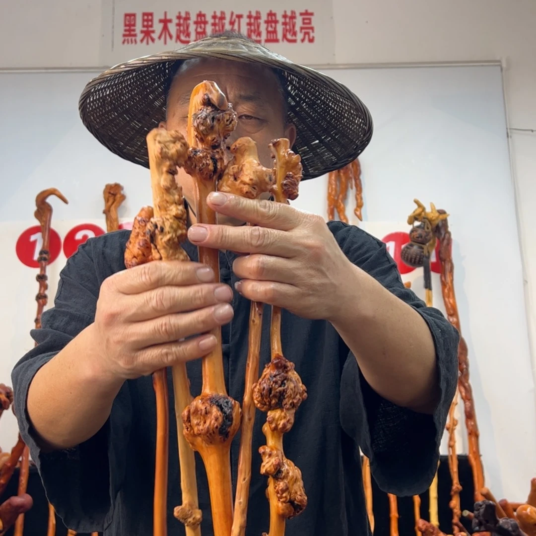 黑果木其他黑果木691