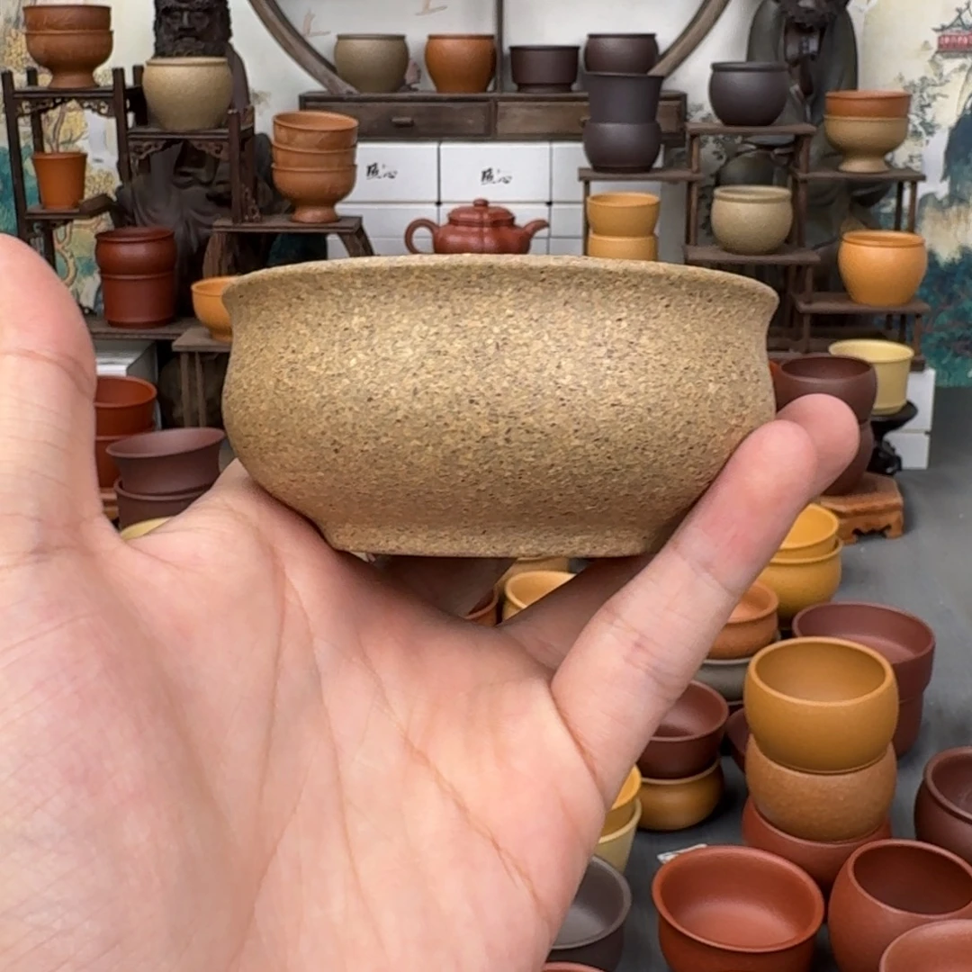 茶杯紫砂75645528554555