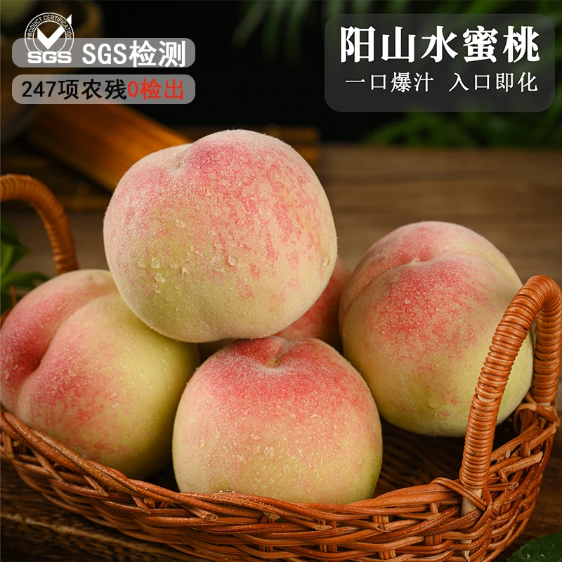 【佳佳专属】6两-半斤正宗无锡阳山水蜜桃新鲜采摘夏日应季礼盒装12颗桃子同城送江苏省