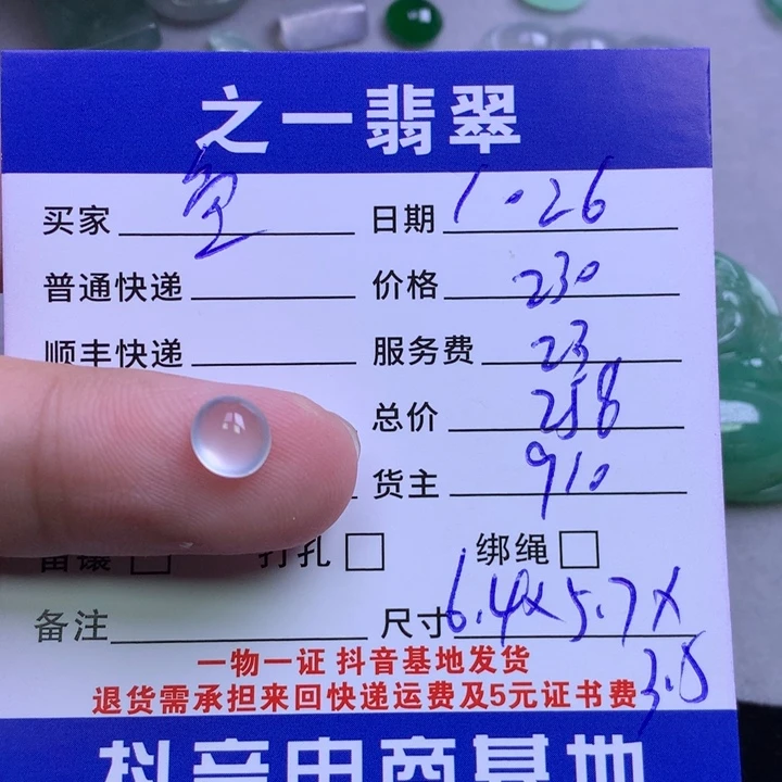 颈饰未镶嵌翡翠鱼*