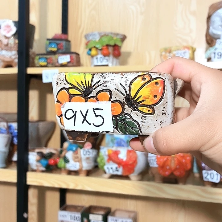 多肉花盆满15包邮